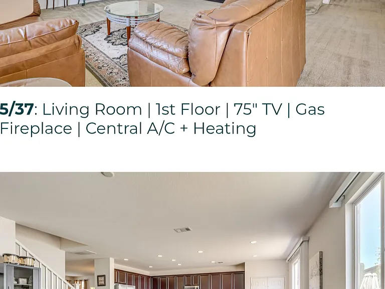 30312 Carob Tree Cir — Photo 47