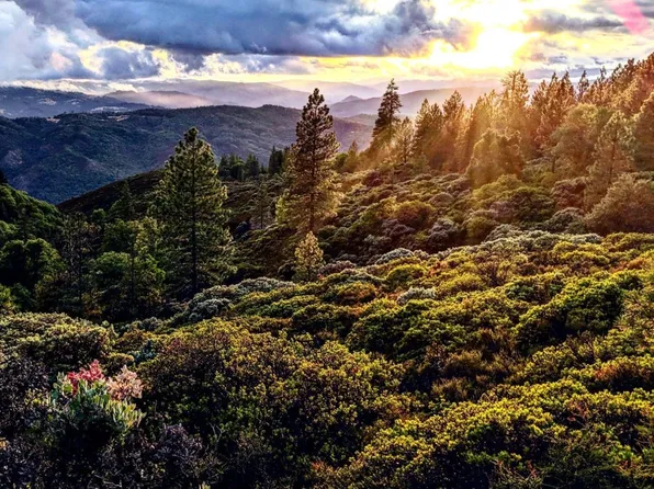 47700 Bentley Ridge Road, Covelo, CA 95428