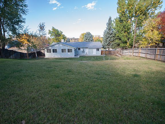 back yard