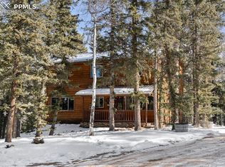 4076 Omer Ln, Divide, CO 80814