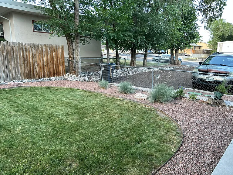 Backyard 3/3
