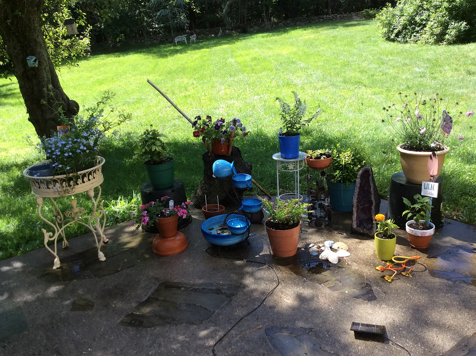 6 Blossom Rd photo 1