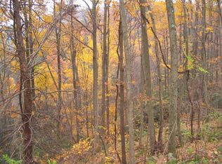 LOT 308 Savage Trl, East Stroudsburg, PA