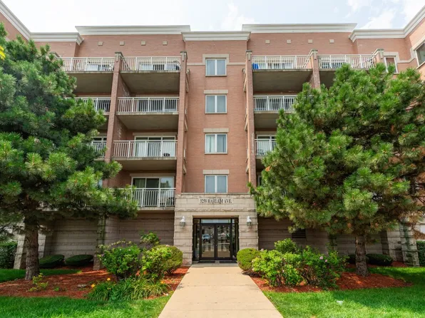 3258 N Harlem Ave Unit 205, Chicago, IL 60634