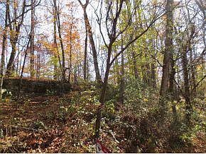 2nd image of Rockwood Dr
