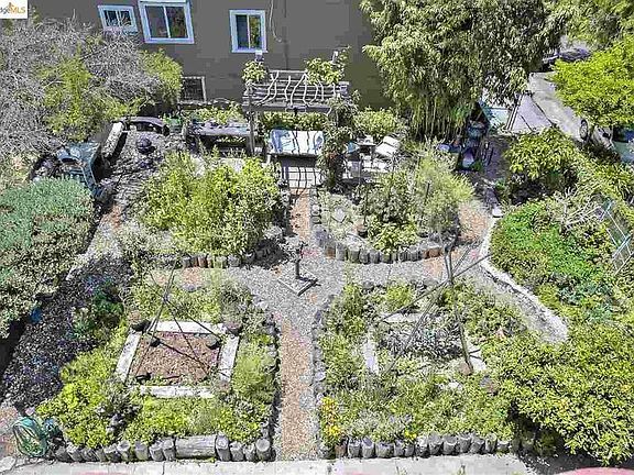 Garden view from Roof