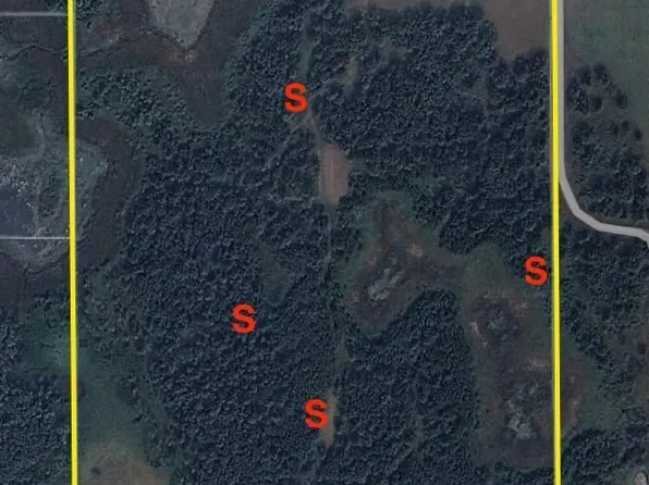 7235 120th St SW, Motley, MN 56466