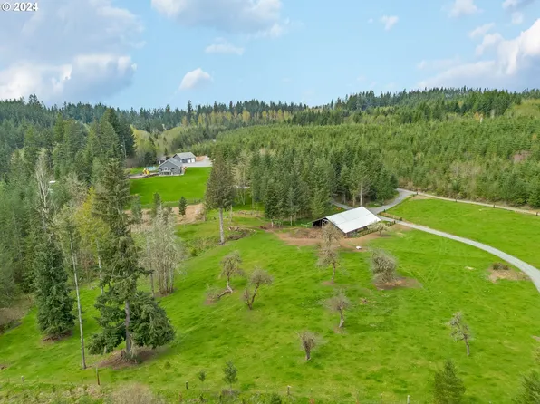 38419 NE Rotschy Rd, Yacolt, WA 98675