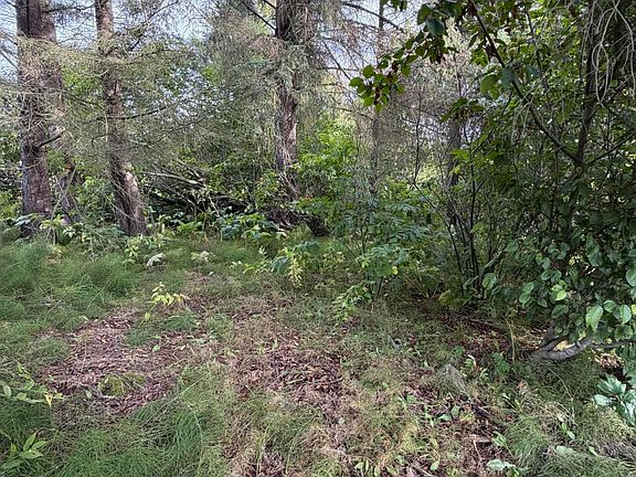 5th image of 4768 Sabrina Rd