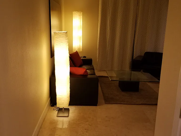 260 E Flamingo Rd #108 — Photo 3