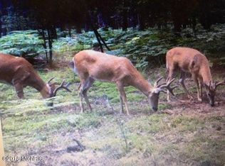 1106 E Sugar Grove Rd, Scottville, MI 49454