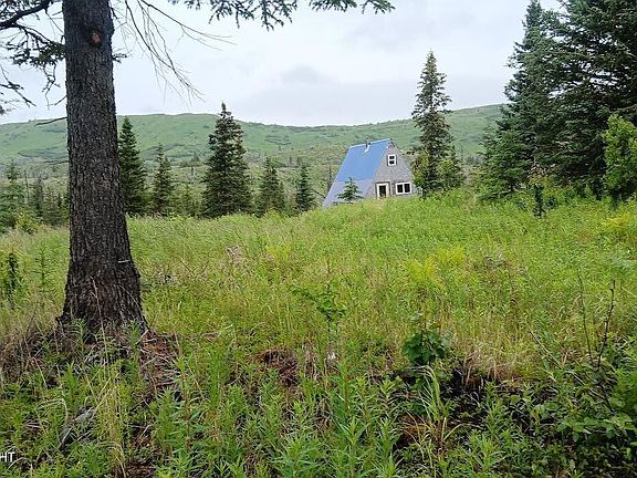 5th image of 0 Caribou Homestead Lake L8 B3