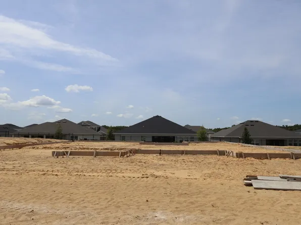 3193 Wolf Lake Ave, Apopka, FL 32712