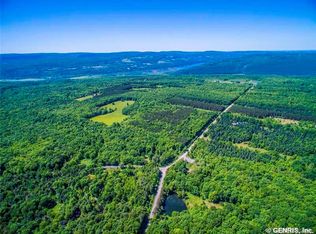 3903 Dewolf Rd, Naples, NY 14512