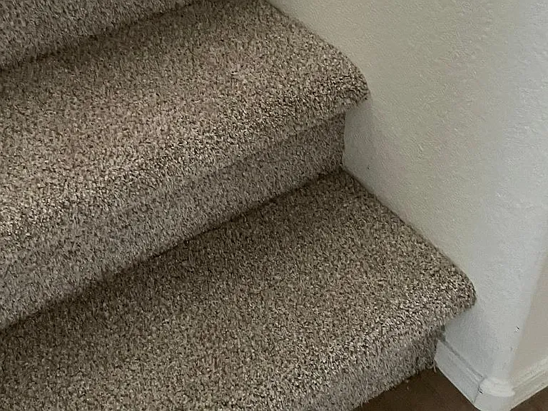 Carpet on the second floor