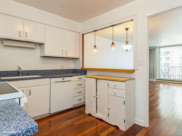 6007 N Sheridan Rd #19D — Photo 9