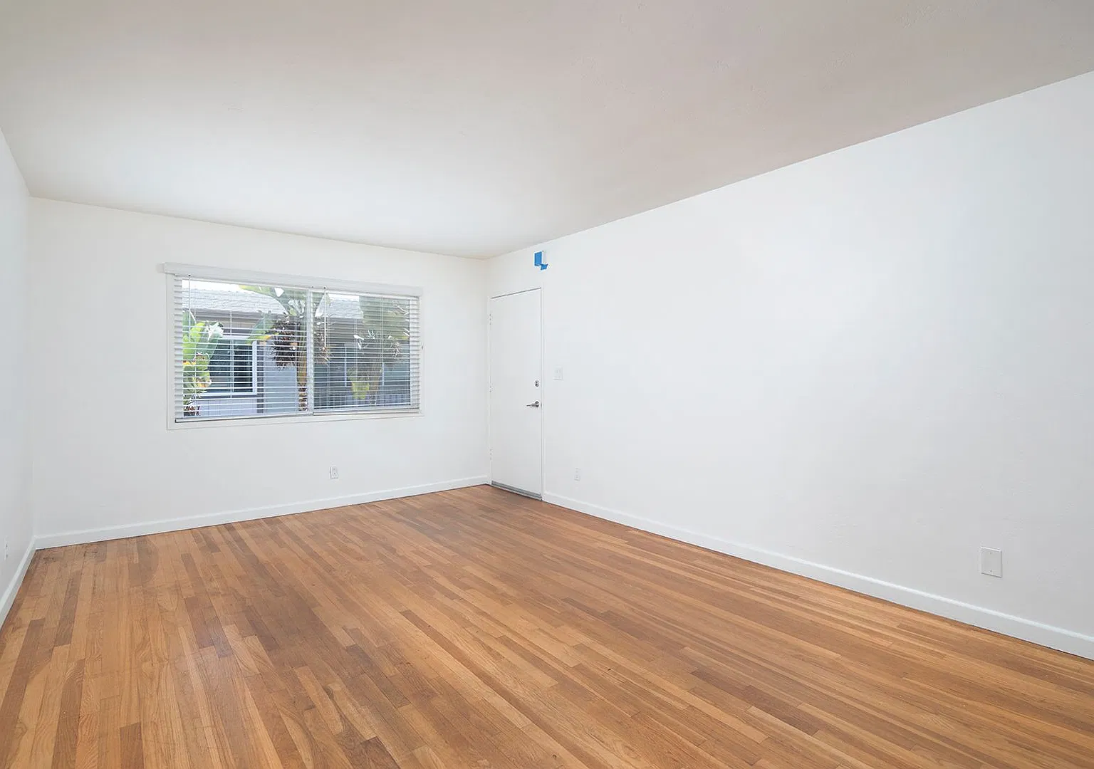 Playa Apartments — Photo 4