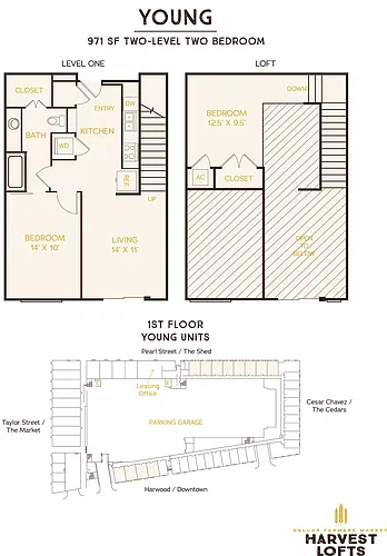 Floor plan Young (A1AM)