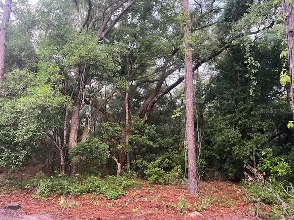 4022 S Killdeer Ave #33, Inverness, FL 34450