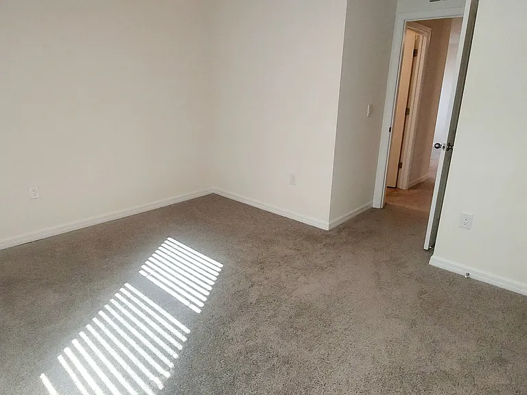 35386 Spruce Knob Ct — Photo 18