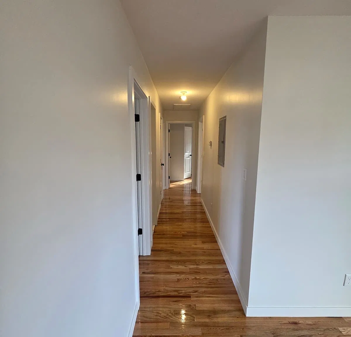 4 bed, $3,100 — Photo 1