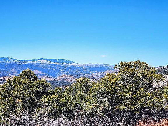 4th image of 345 Ridgeway Rd