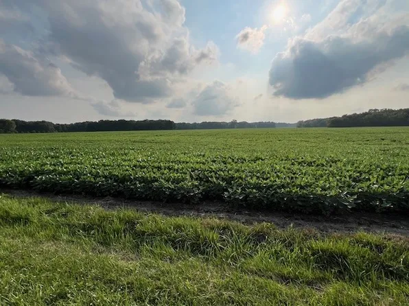 2400 East Rd, Windsor, IL 61957