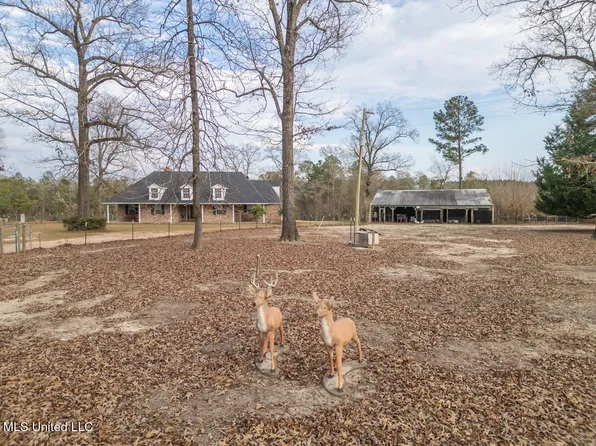 523 Dunnam Rd, Leakesville, MS 39451