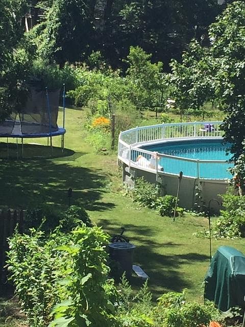 Yard & Pool
