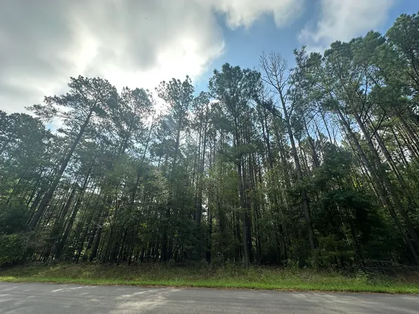 Lot 1 Dogwood Lane, Parksville, SC 29845