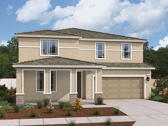 The Ammolite Elevation D