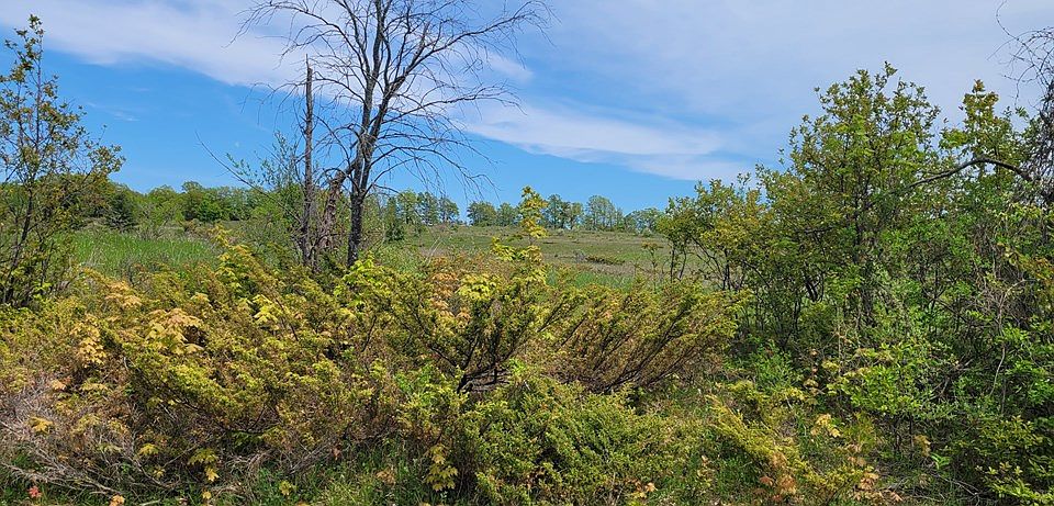 2nd image of LOT 2 Timberline Rd
