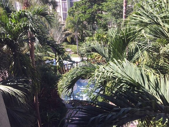 5th image of 5300 NE 24th Terrace # Fl 4