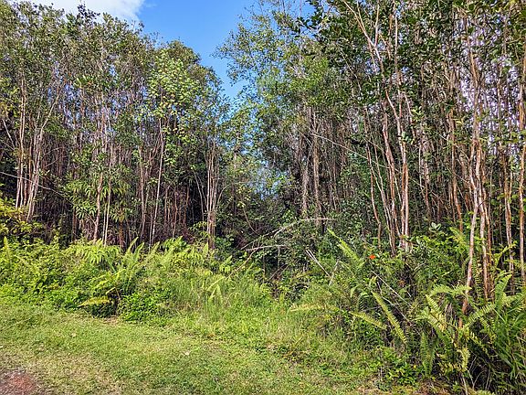5th image of 16-1395 Road 5 Lot 4043-4044