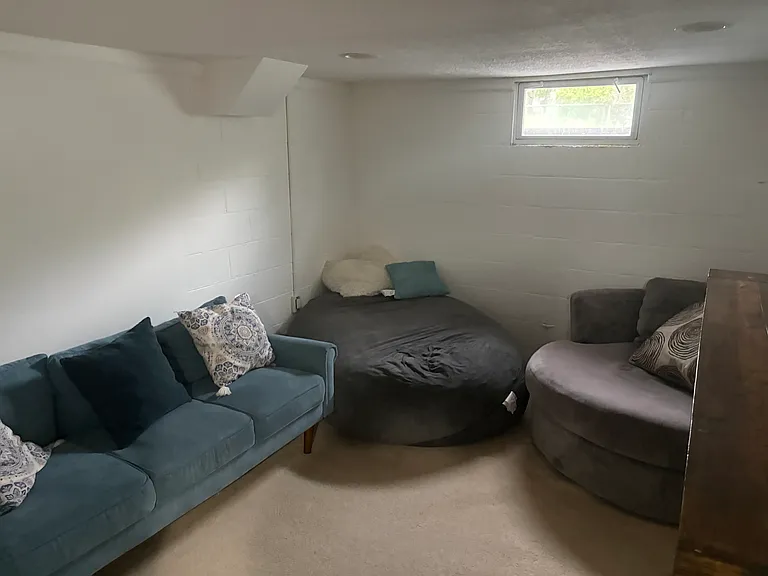 FInished basement family room