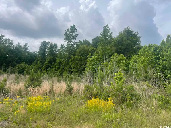 74 Shingle Dr., Georgetown, SC 29440