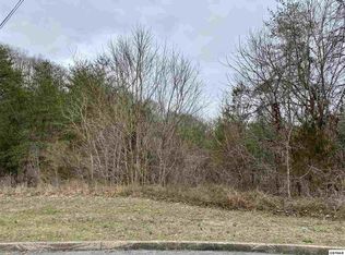 0 Bald Eagle Dr, Sevierville, TN 37876