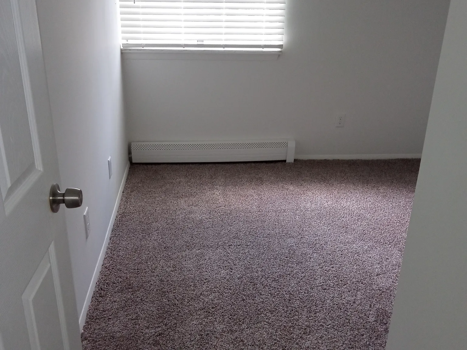 Chestnut Apartments — Photo 4