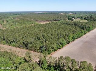 20.51 Acre Sweat Drive, Bladenboro, NC 28320