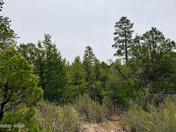 5th image of 4918 Sunset Ridge Loop