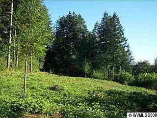 1st image of 42485 N River Dr #Tl313