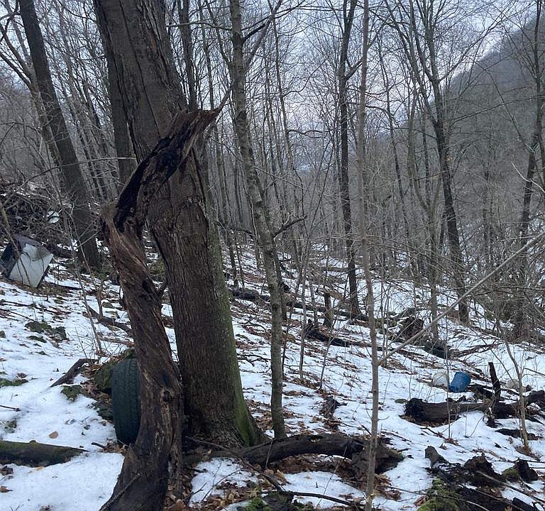 Lawrence Hill Road, De Soto, WI 54624 Zillow