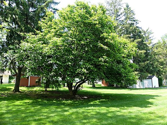 4th image of 729 Laura Dr