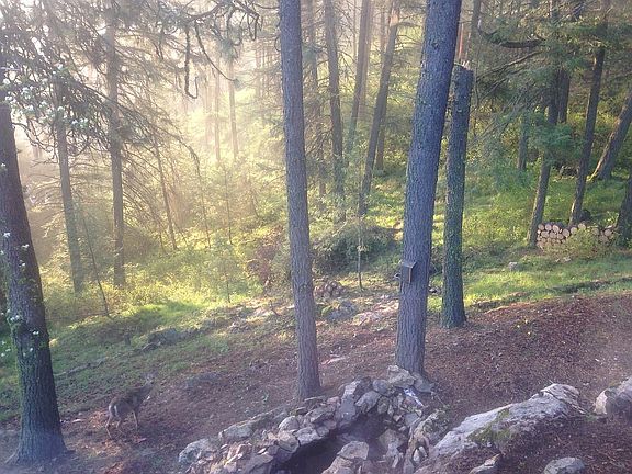 5th image of 5624 S Red Fir Ln