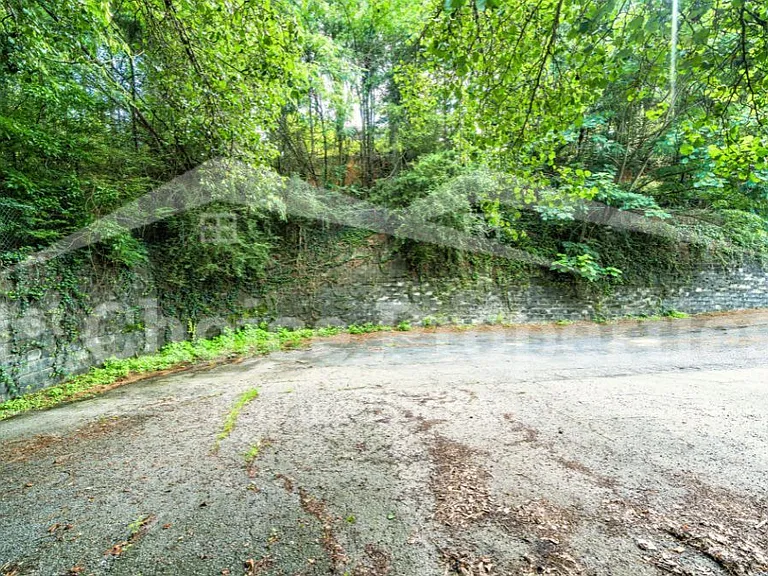 725 Carson Rd — Photo 3