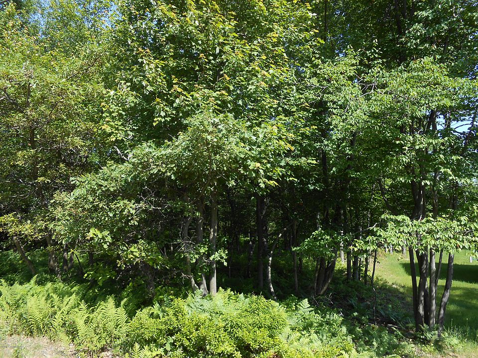 1st image of 5847 Wild Laurel Dr