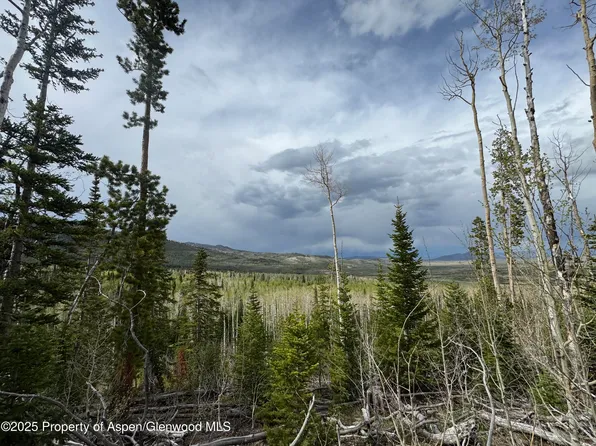 2200 County Road 5e, Coalmont, CO 80430