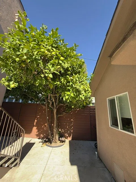 2 bed, 906 sqft, $3,000 — Photo 4