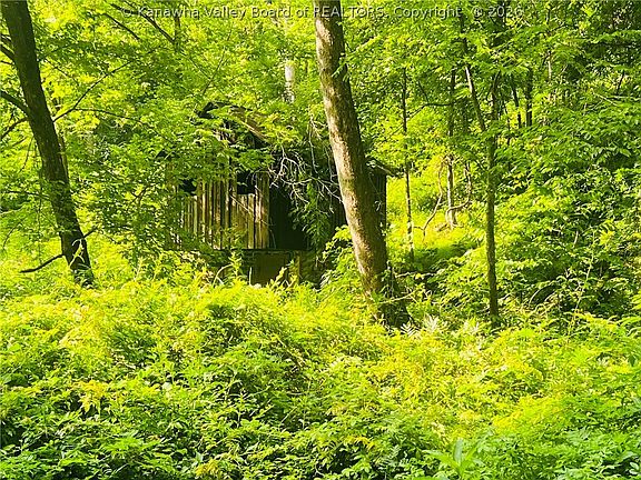 3rd image of 0 Starchers Fork Rd