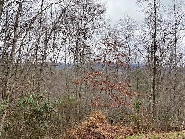 1st image of Laurel Lane Rd